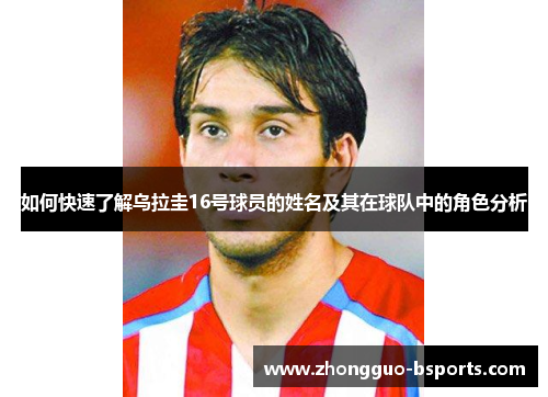 如何快速了解乌拉圭16号球员的姓名及其在球队中的角色分析