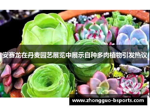 安赛龙在丹麦园艺展览中展示自种多肉植物引发热议