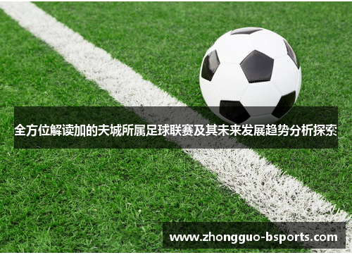 全方位解读加的夫城所属足球联赛及其未来发展趋势分析探索