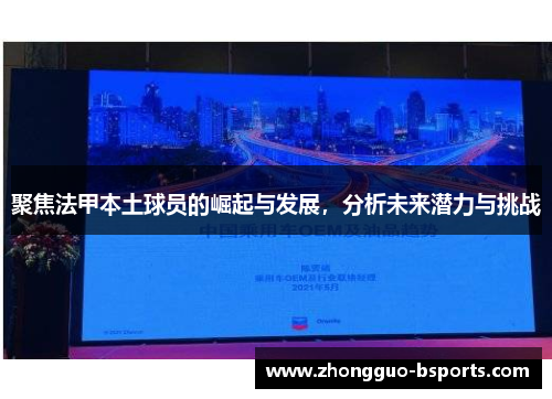聚焦法甲本土球员的崛起与发展，分析未来潜力与挑战
