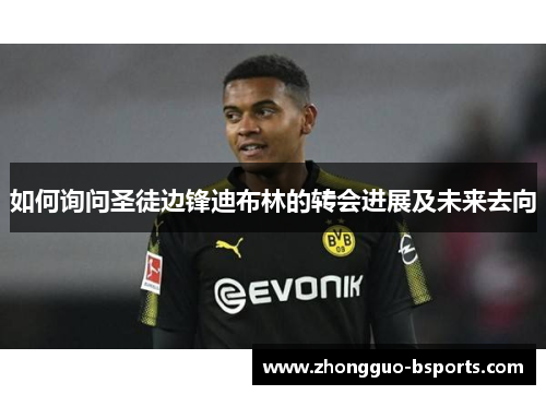 如何询问圣徒边锋迪布林的转会进展及未来去向 如何询问圣徒边锋迪布林的转会进展及未来去向