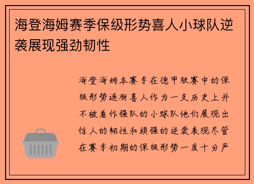 海登海姆赛季保级形势喜人小球队逆袭展现强劲韧性